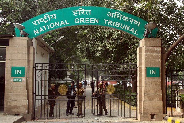 NGT notice to large-scale illegal construction in Noida, Greater Noida