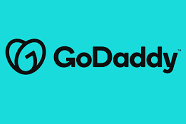 Will the domain name registrar, GoDaddy, leave India ? New rules for domain registration.  